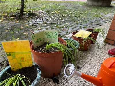 3圖片