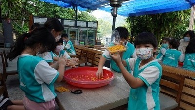 圖片